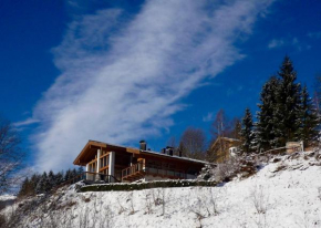 Luxury Viehhofen Chalet, Viehhofen, Österreich